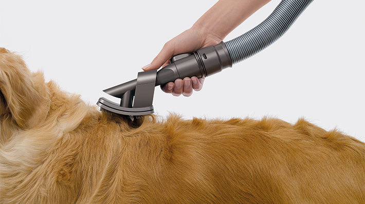 Cepillo especial para perros, acoplable a aspiradoras Dyson 