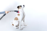 SSEU | VIPet Brush (Cepillo mascotas)